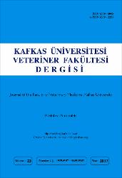 Küçük Resim