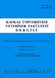 Küçük Resim